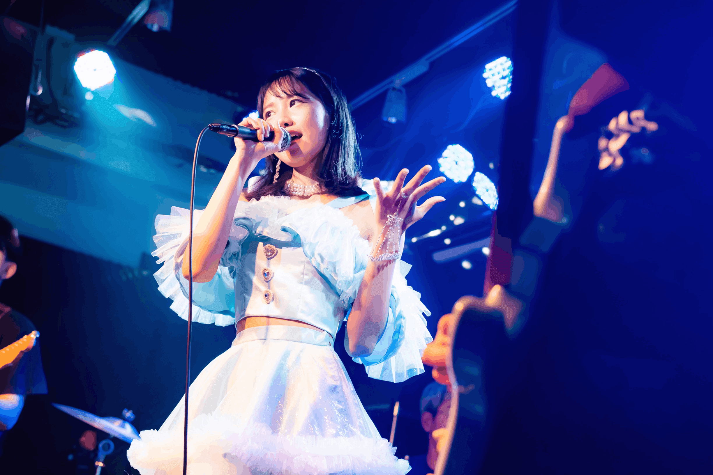 MION