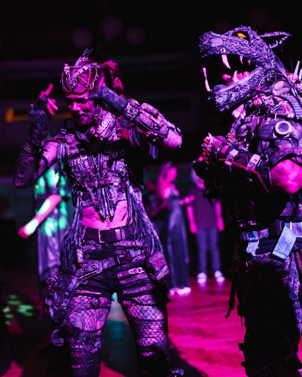 Cosplay Ball 14